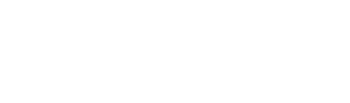 dedicated-transportation-specialist-logo-white